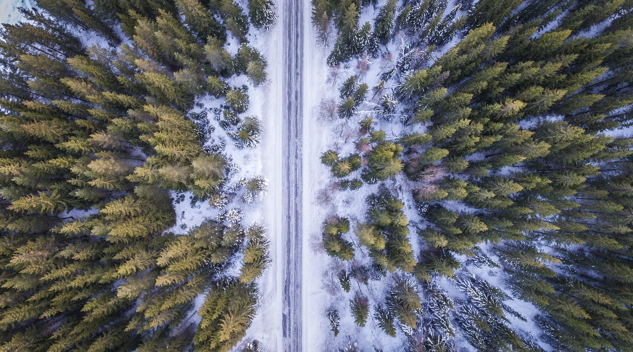 A snow-covered road passing through a forest, viewed from above