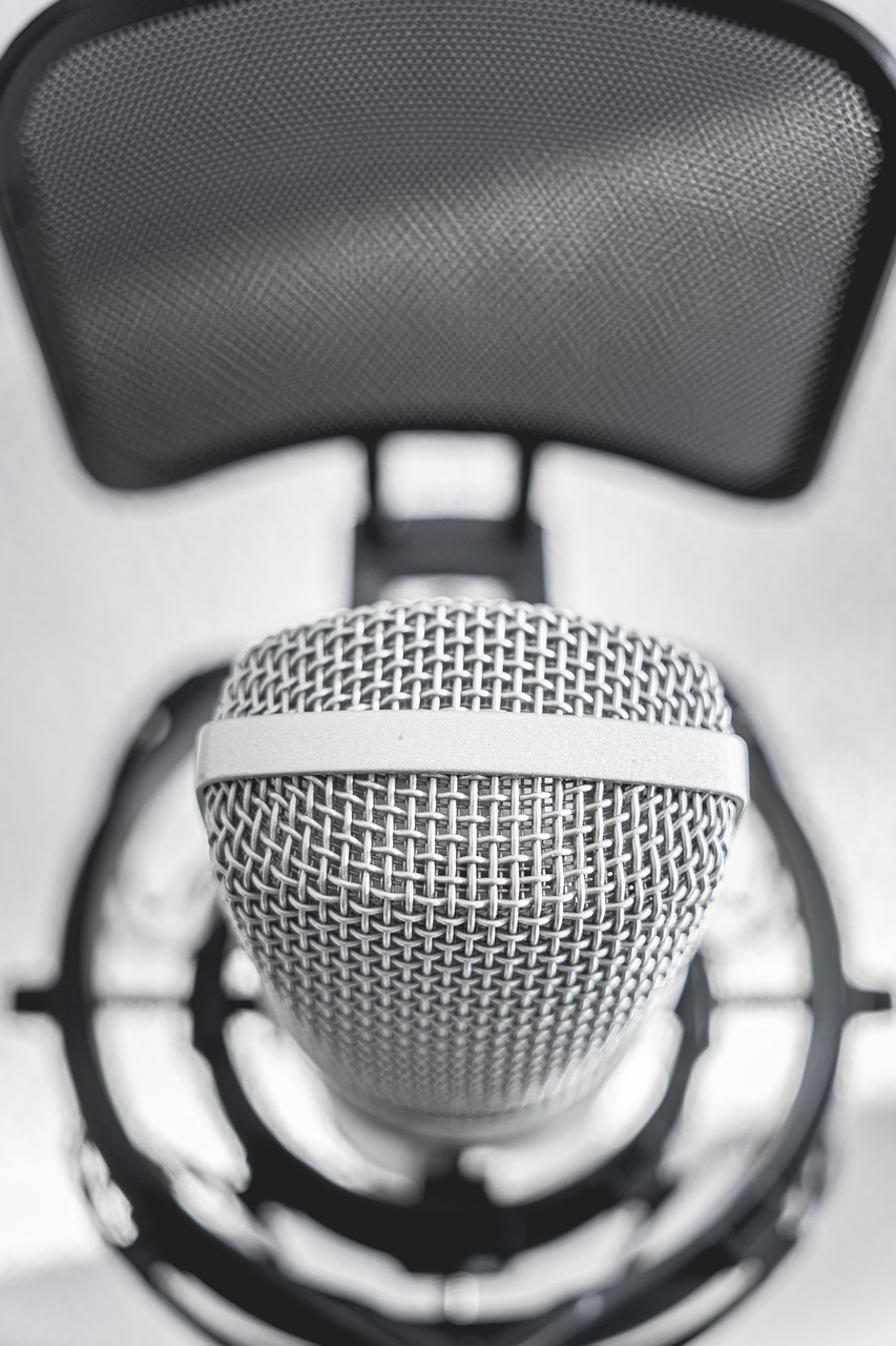 A studio microphone in a shock mount beneath a pop filter